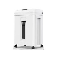����Z-300 2025