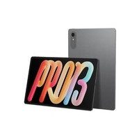 ����С��Pro 13