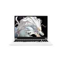 ��е��������16 Pro