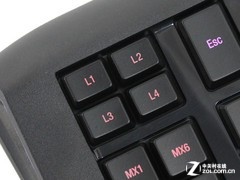 ˿Ϯ APEXȫײ 