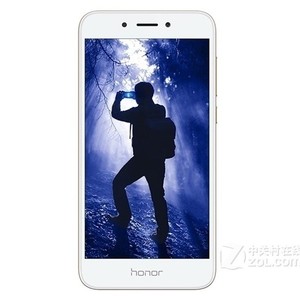 荣耀畅玩6A（DLI-AL10/高配版/全网通）