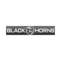 BLACK HORNS���ڽǣ�