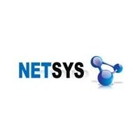 ����NETSYS��