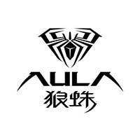 AULA�����룩