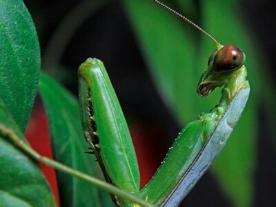 �Զ�����Ч���ܺ�