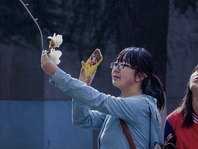 �ǳ�������һ�����