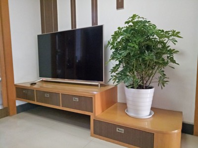 ��ά55��8�Ż�����