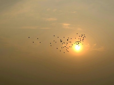 ����ֵ�߼��黳�û�