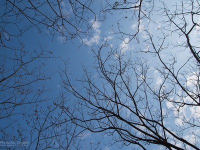 D7200������APS-C�콢��~~