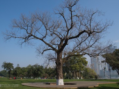 D7200������APS-C�콢��~~