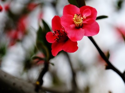 ���ܺ�ȫ�������18-135mm��ͷ���㣩