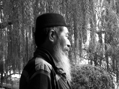 �����������ӳԵ����ϱ�