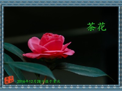 һ���Լ۱ȼ��ߵ����˳�����ͷ