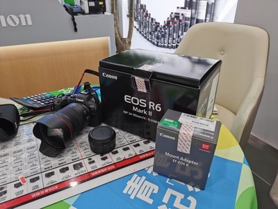 ����Ч��������EOS R6 Mark II����RF24-105 F4L�����飬��