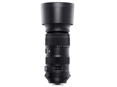 60-600mm f/4.5-6.3 DG OS HSM Sports῵ڣ