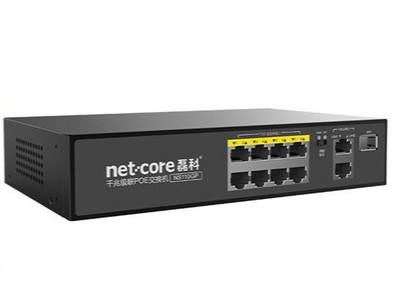 netcore NS110GP