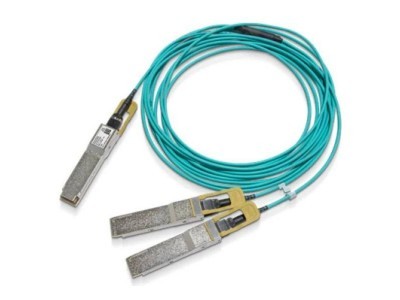 Mellanox MFS1S50-H010E