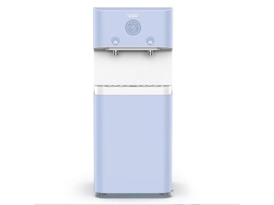 A.O.史密斯BZR600-S6