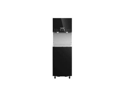 A.O.史密斯BZR1000-T806