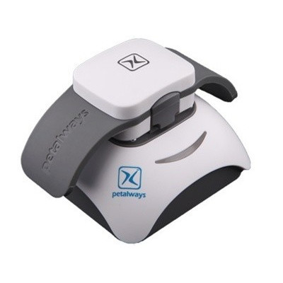 С��������ʿ���ﶨλ��