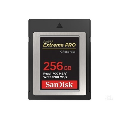 ����Extreme Pro��256GB��
