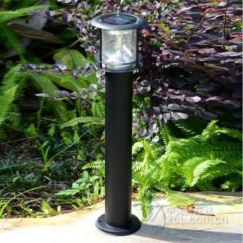 ��԰����̫���ܲ�ƺ�� С����ɫ(̫����)