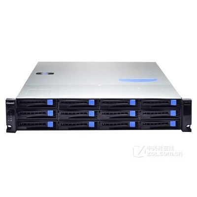 ����Singstor SS100G-12S