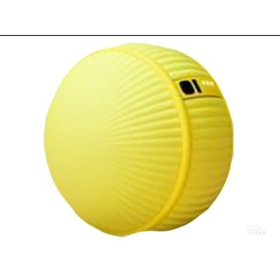 ����Ballie