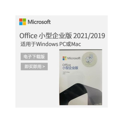 Microsoft Office 2021 С����ҵ��