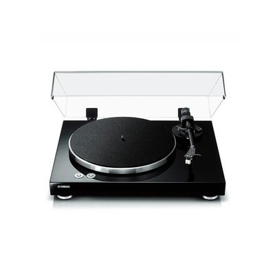 ������TT-S303
