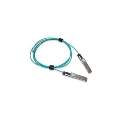 Mellanox MFS1S00-H010V