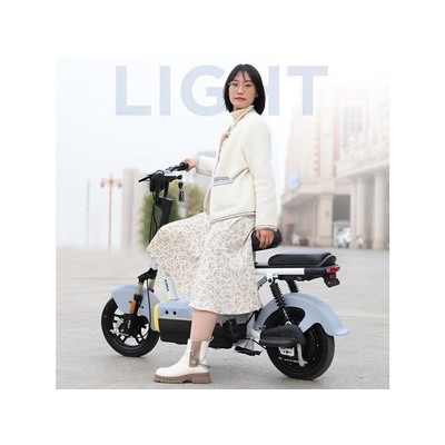 ����mico ս��-Դ����-48V20AH