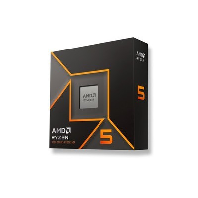AMD Ryzen 5 9600X