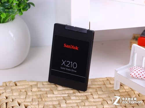 X210 512GB 