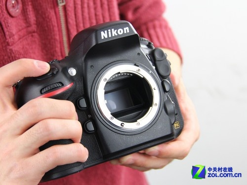 ῵ D800 ͼ 