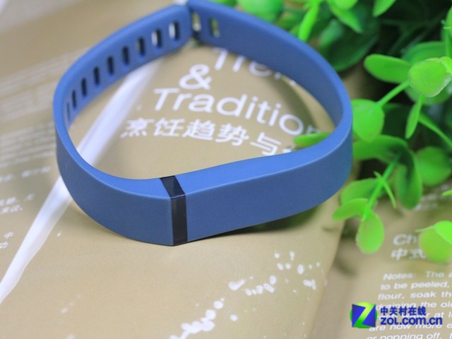 Fitbit Flex ͼ 