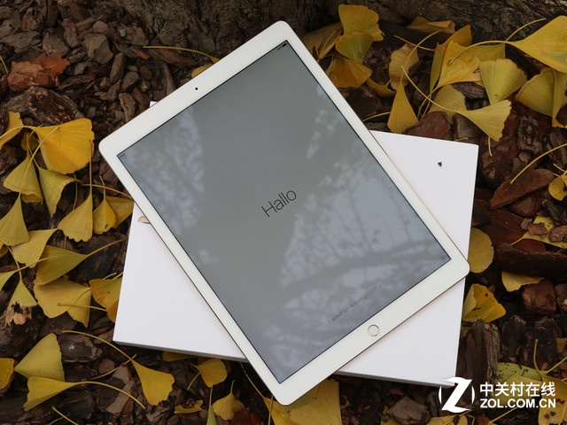 RBCiPad ProܱΪƻ24Ӫ 