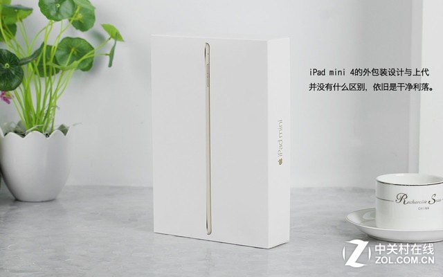 ƻ iPad mini 4ɫ װͼ 