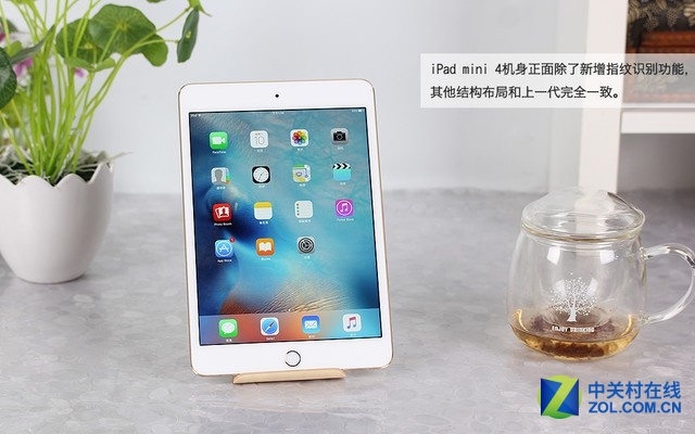 ƻ iPad mini 4ɫ ͼ 