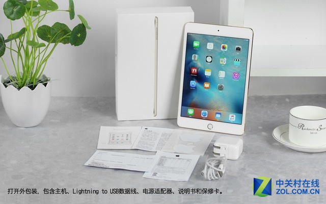 ƻ iPad mini 4ɫ ͼ 